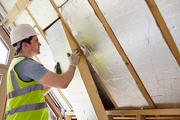 Best Energy-efficient Insulation  in Wheeling, WV